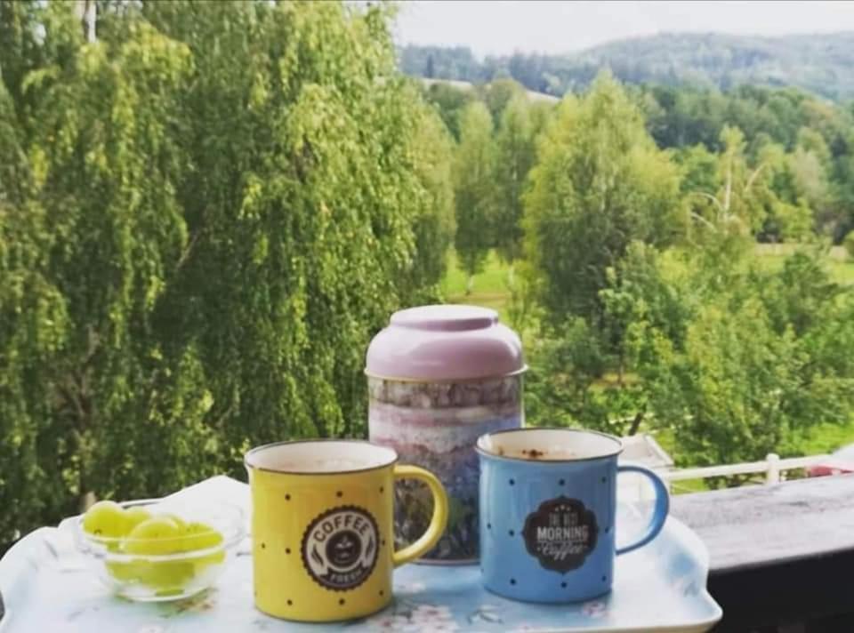 Pensiunea Gradina Ascunsa Bughea de Jos Екстериор снимка